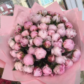 Сезонное предложение